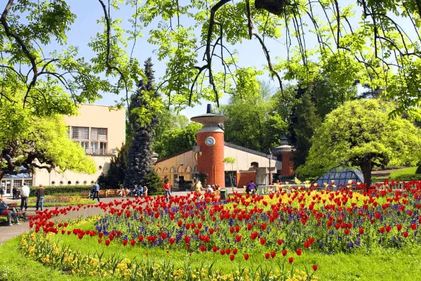 Prevoz pacijenata do banje Vrnjačka Banja: kako organizovati?